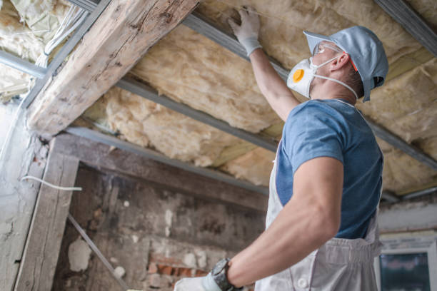 Best Blown-in Insulation in Yorktown, TX